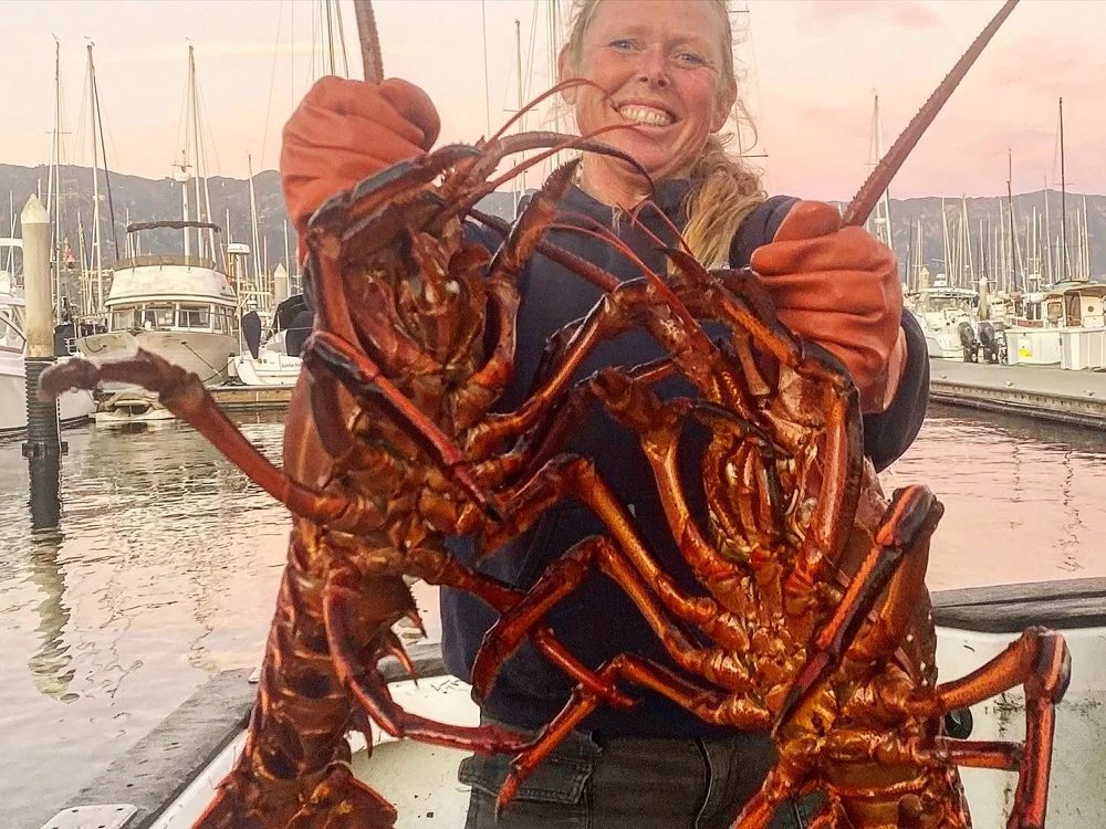 Holding two large fresh-caught lobsters at the dock